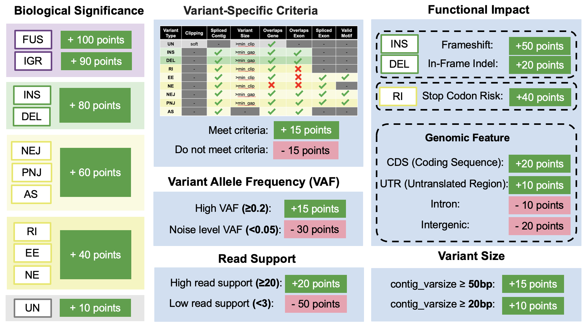 LINDTIE Scoring System
